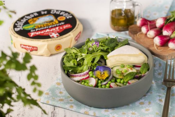 conseil-marketing-ventes-pme-alimentaire