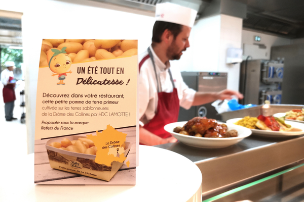 developpement gamme foodservice